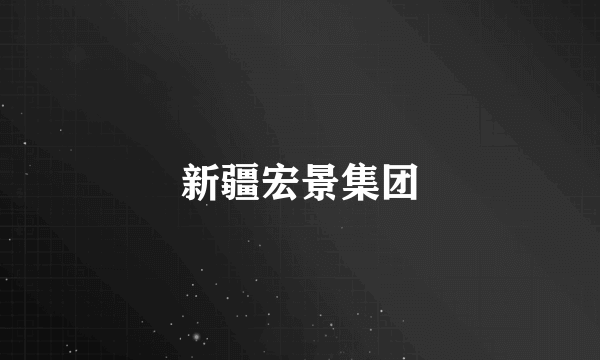 新疆宏景集团