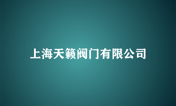上海天籁阀门有限公司