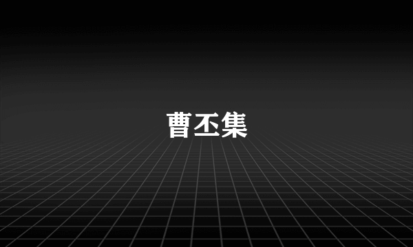曹丕集