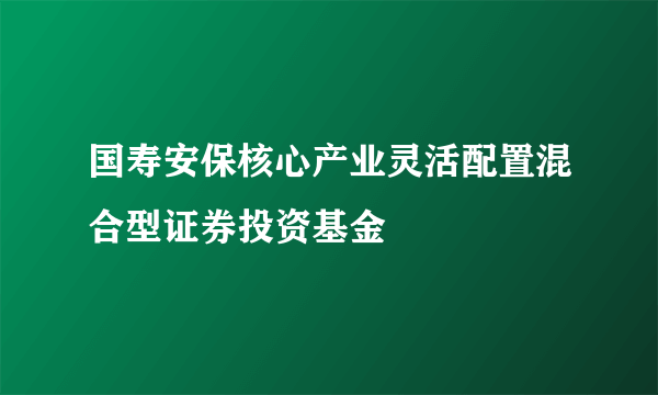国寿安保核心产业灵活配置混合型证券投资基金