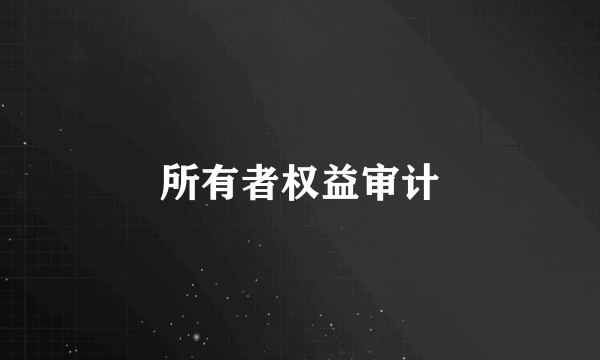 所有者权益审计