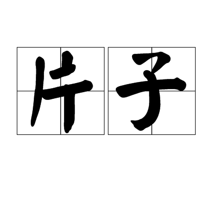 片子