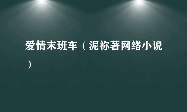 爱情末班车（泥祢著网络小说）