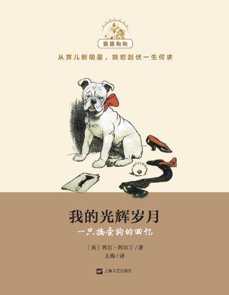 我的光辉岁月