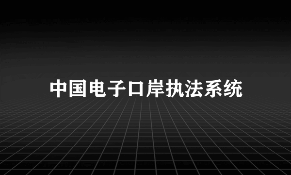 中国电子口岸执法系统