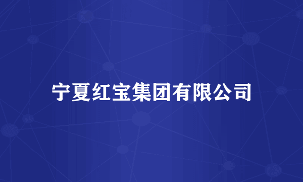 宁夏红宝集团有限公司