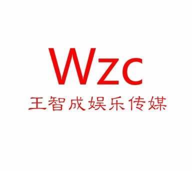 王智成娱乐传媒（广东）有限公司