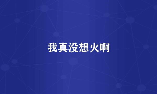 我真没想火啊