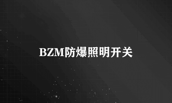 BZM防爆照明开关