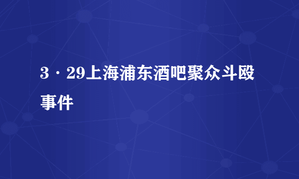 3·29上海浦东酒吧聚众斗殴事件
