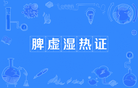脾虚湿热证