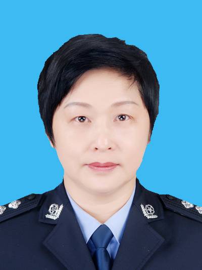 崔宏伟（河南省南阳市内乡县人民政府原副县长、公安局原党委书记、原局长）