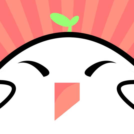 呆毛直播