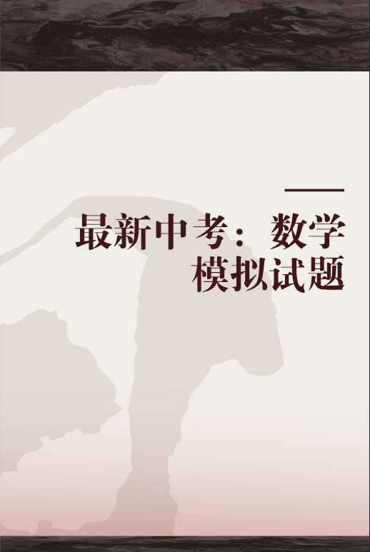 最新中考：数学模拟试题