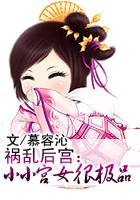 祸乱后宫：小小宫女很极品