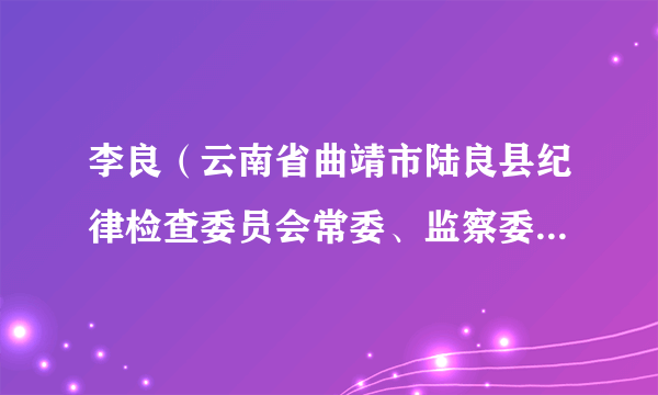 李良（云南省曲靖市陆良县纪律检查委员会常委、监察委员会委员）