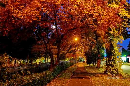 秋夜（唐朝王建诗作）