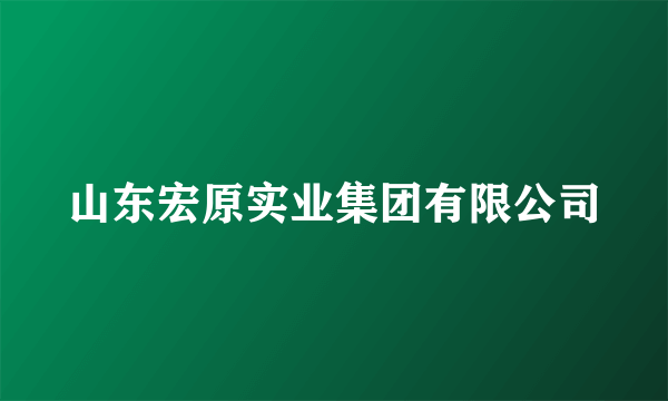 山东宏原实业集团有限公司
