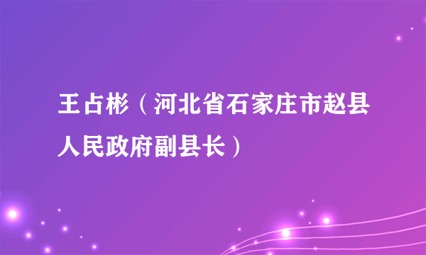 王占彬（河北省石家庄市赵县人民政府副县长）