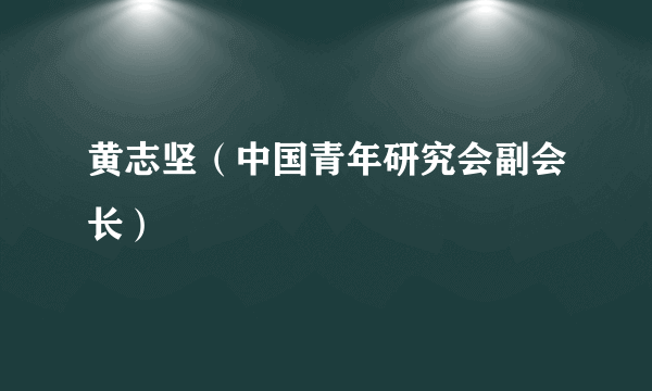 黄志坚（中国青年研究会副会长）