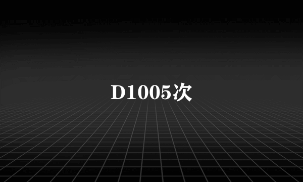 D1005次