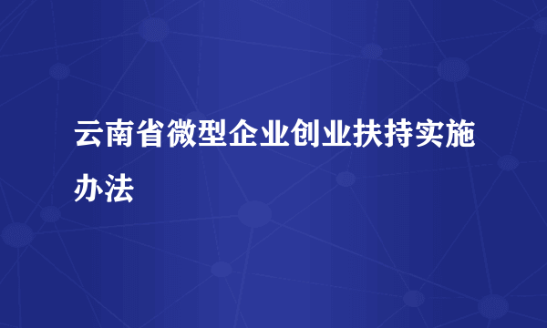 云南省微型企业创业扶持实施办法