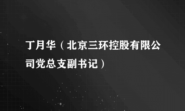 丁月华（北京三环控股有限公司党总支副书记）