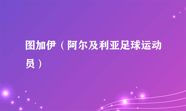 图加伊（阿尔及利亚足球运动员）