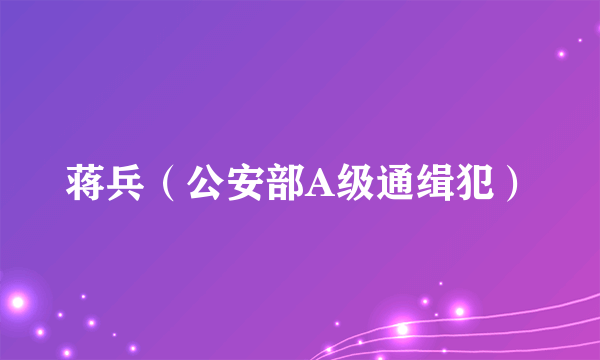 蒋兵（公安部A级通缉犯）