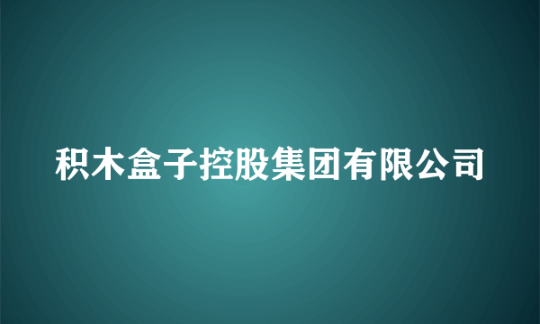 积木盒子控股集团有限公司
