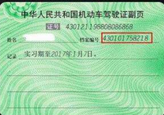 驾驶证档案编号