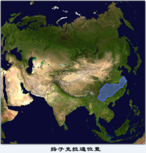 准地台