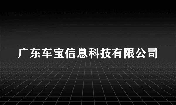 广东车宝信息科技有限公司