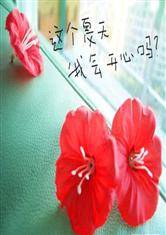 别再次相信爱情