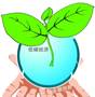 碳金融（低碳经济投融资活动）