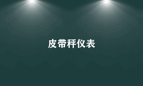 皮带秤仪表