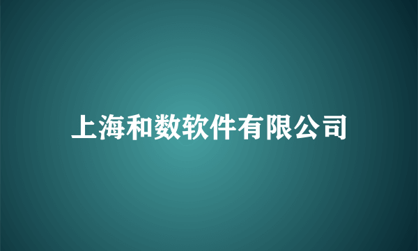 上海和数软件有限公司