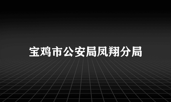 宝鸡市公安局凤翔分局