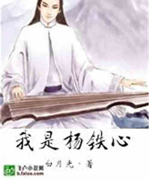 我是杨铁心