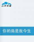 你的肩是我今生的天（小说）