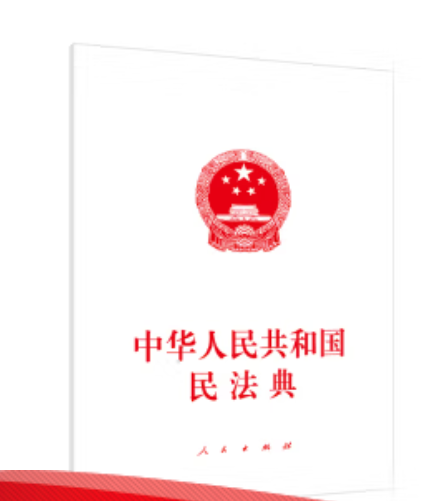中华人民共和国民法典（2020年人民出版社出版的图书）
