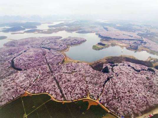 永乐镇（广西壮族自治区柳州市融水苗族自治县下辖镇）