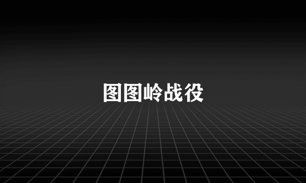 图图岭战役