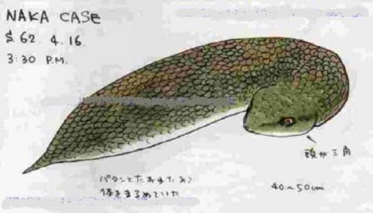幻之蛇