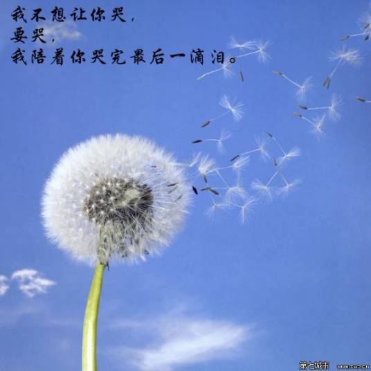 最后一滴泪（专辑）