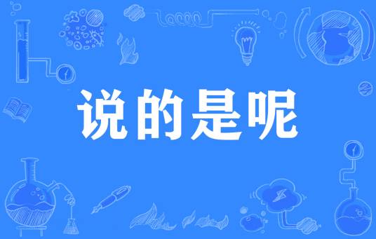 说的是呢
