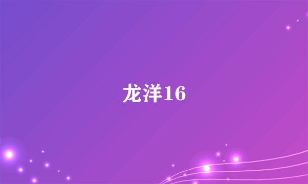 龙洋16