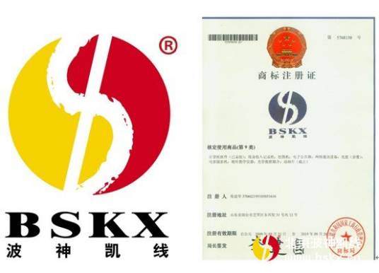 波神规律（金融界术语）