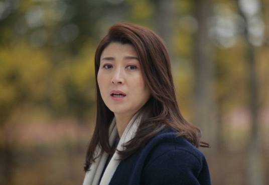 丁洁（电视剧《继父回家》中的女主角）