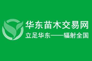 华东苗木交易网